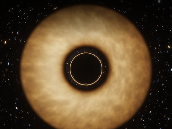 Black hole seen nearly face-on, inclination 85 degrees